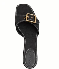COACH Margot Signature Logo Jacquard Kitten Heel Slide Sandals