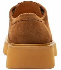 COACH Men's Sculpt C Suede Chukka Oxfords