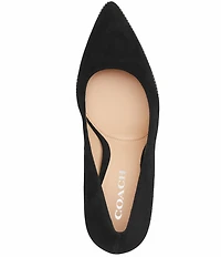 COACH Samantha Suede Studded Dress Pumps