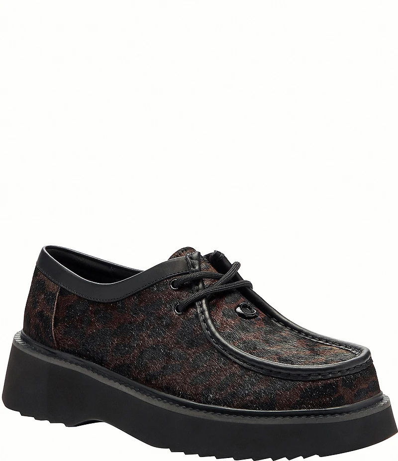 COACH Sculpted C Leopard Print Calf Hair Chukka Oxfords
