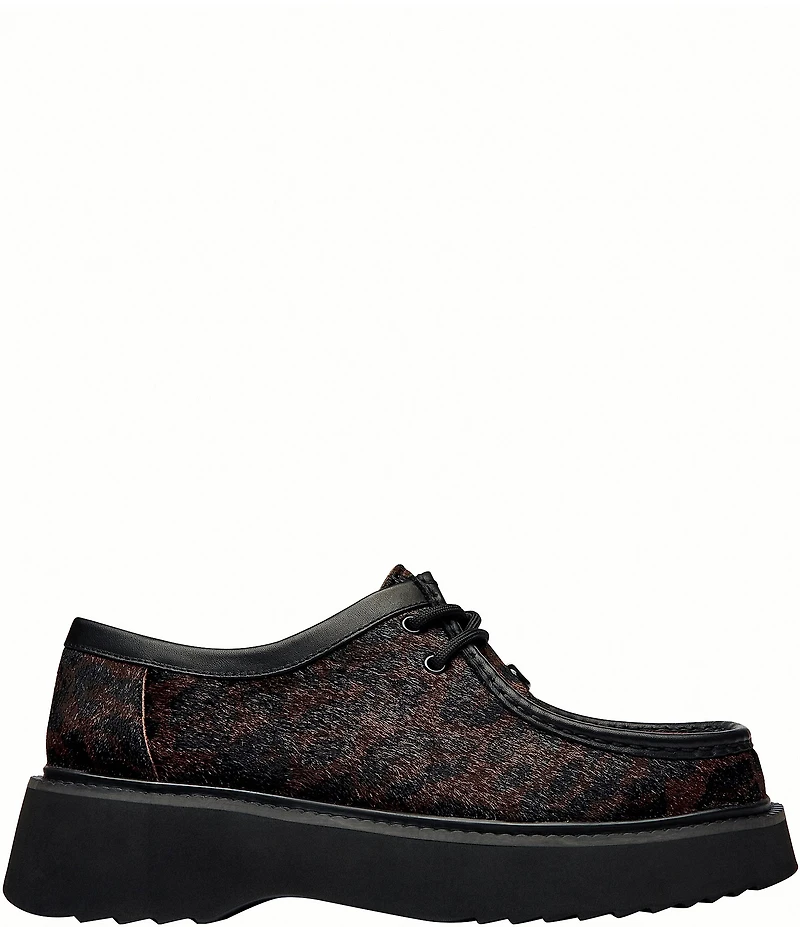COACH Sculpted C Leopard Print Calf Hair Chukka Oxfords