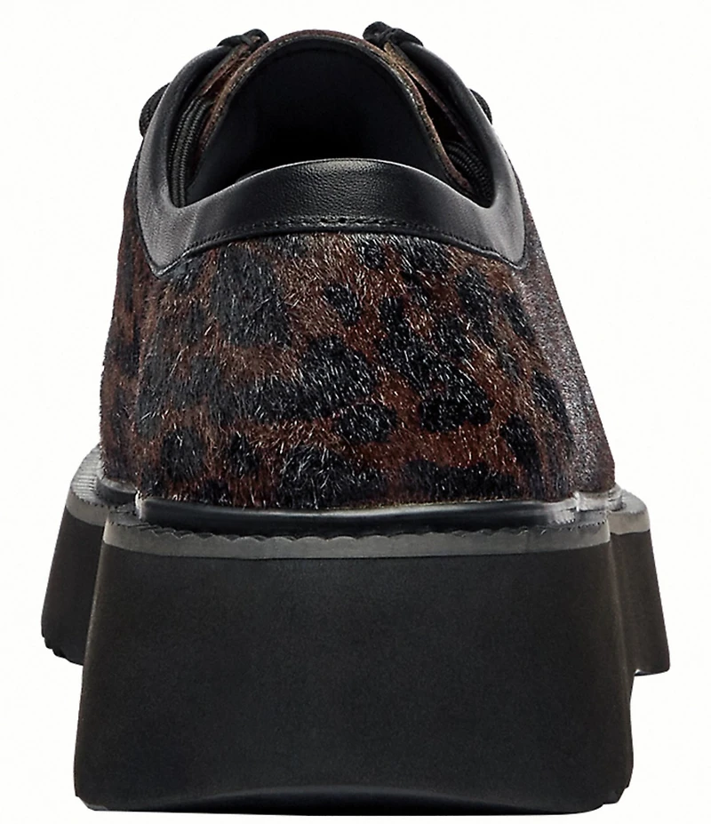COACH Sculpted C Leopard Print Calf Hair Chukka Oxfords