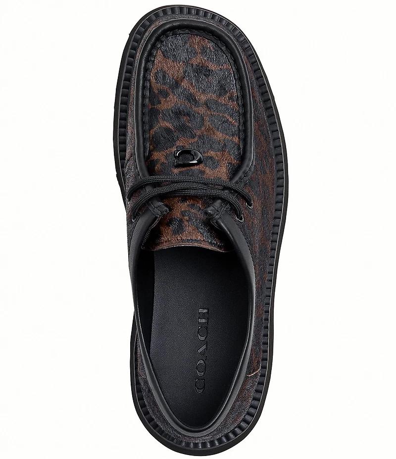 COACH Sculpted C Leopard Print Calf Hair Chukka Oxfords