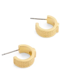 COACH Signature C Textured Huggie Hoop Earrings