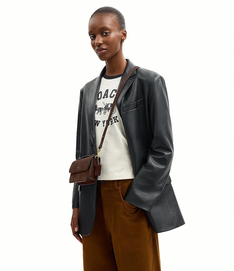 COACH Suede Elora Top Handle Crossbody Bag