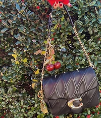 COACH Tabby Bag Charm