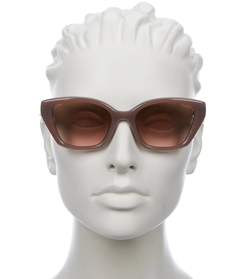 COACH Women's HC8434U 53mm Sunglasses