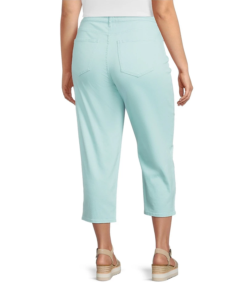 Code Bleu Plus Size Chelsea Embroidered High-Rise Slim Capri Jeans