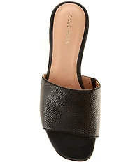 Cole Haan Calli Single Band Block Heel Mule Sandals