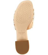 Cole Haan Calli Single Band Woven Leather Block Heel Sandals