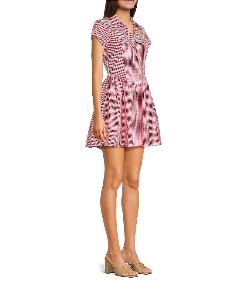 Copper Key Gingham Point Collared Fit & Flare Mini Dress