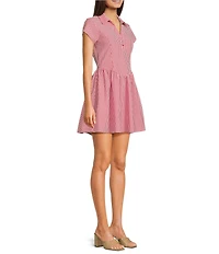 Copper Key Gingham Point Collared Fit & Flare Mini Dress