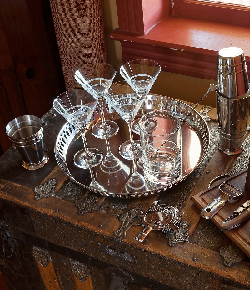 Crafthouse by Fortessa 4-Piece Tritan® Martini Glass Set