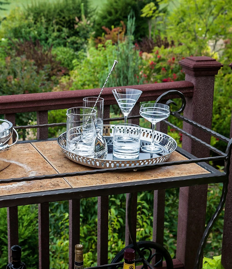 Crafthouse by Fortessa 4-Piece Tritan® Martini Glass Set