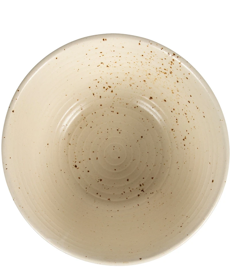 Creative Co Op Farmhouse Speckled Glaze Stoneware Bowl