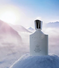 CREED Silver Mountain Water
