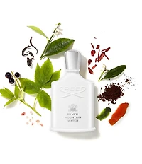 CREED Silver Mountain Water