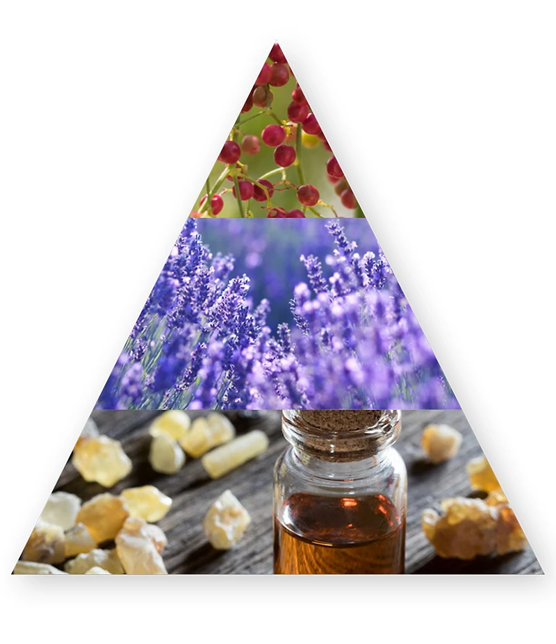 CREED Viking Cologne