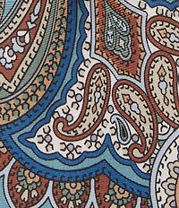 Cremieux Ashby Print Paisley 3 1/8#double; Woven Silk Tie