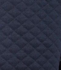 Cremieux Blue Label Big & Tall Quilted Sleeveless Full Zip Vest