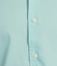 Cremieux Blue Label Brrr°® Solid Oxford Long Sleeve Woven Shirt