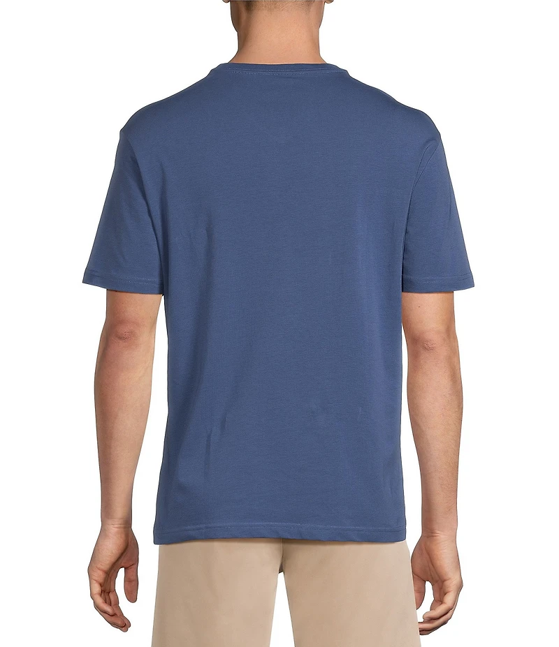 Cremieux Blue Label Jersey Knit Short Sleeve V-Neck T-Shirt