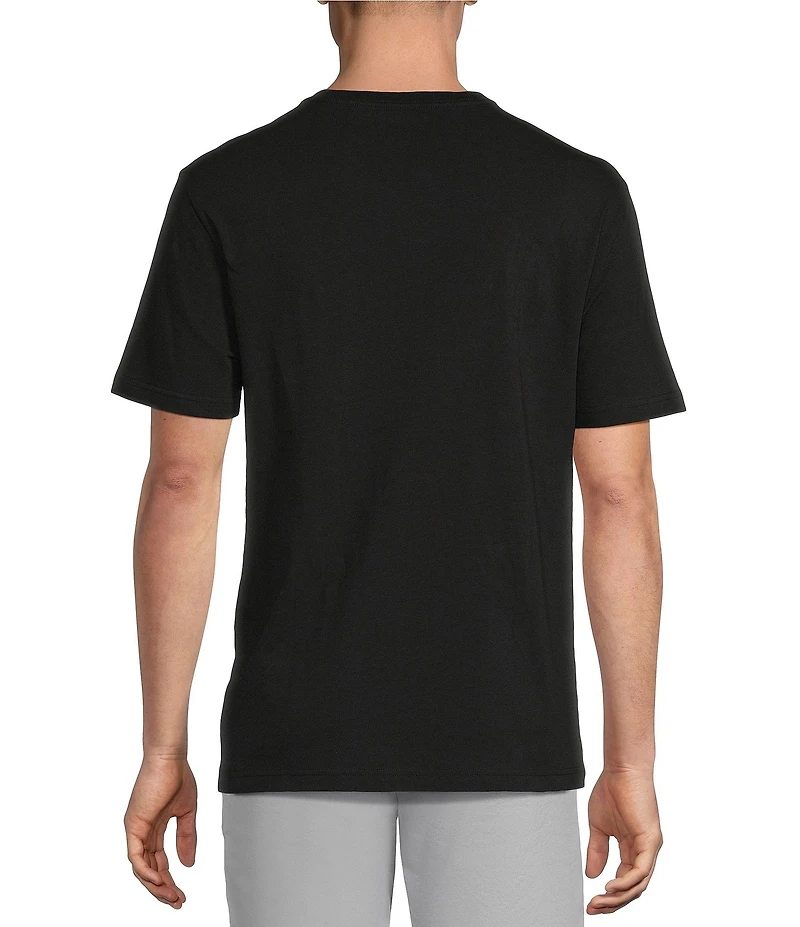 Cremieux Blue Label Jersey Knit Short Sleeve V-Neck T-Shirt