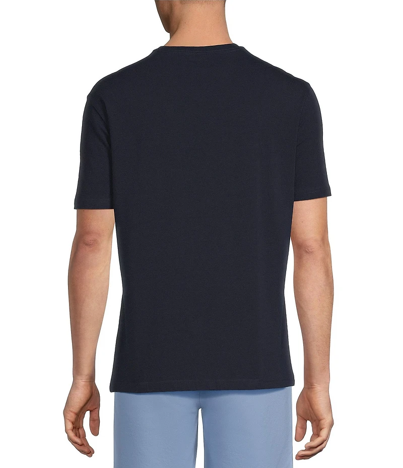 Cremieux Blue Label Jersey Knit Short Sleeve V-Neck T-Shirt