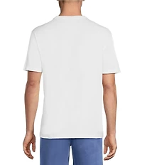 Cremieux Blue Label Jersey Knit Short Sleeve V-Neck T-Shirt