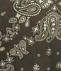 Cremieux Blue Label The South Fork Collection Paisley Long Sleeve Woven Shirt