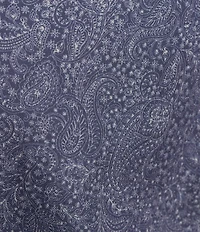 Cremieux Blue Label Twill Paisley Long Sleeve Woven Shirt