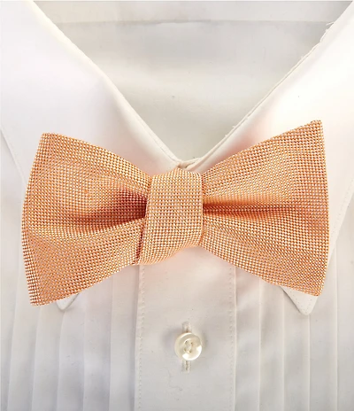Cremieux Marc Silk Textured Nonsolid Bow Tie