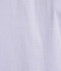 Cremieux Signature Label The ETA Long Sleeve Hidden Button Down Collar Gingham Woven Shirt