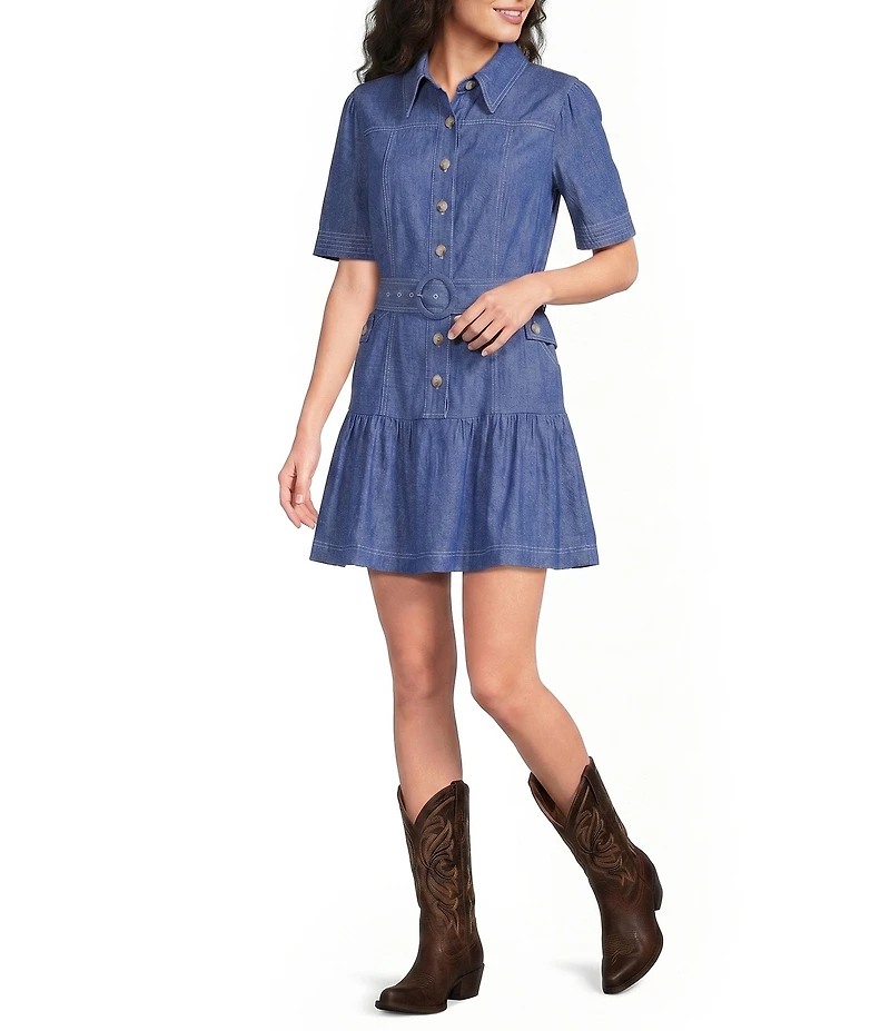 Current Air Point Collar Short Sleeve Drop Waist Mini Dress