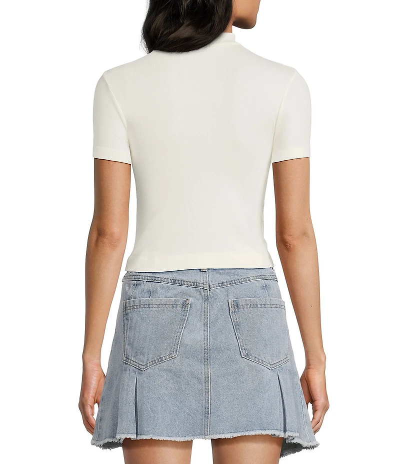 C&V Chelsea & Violet Mock Neck Seamless Knit Crop Top
