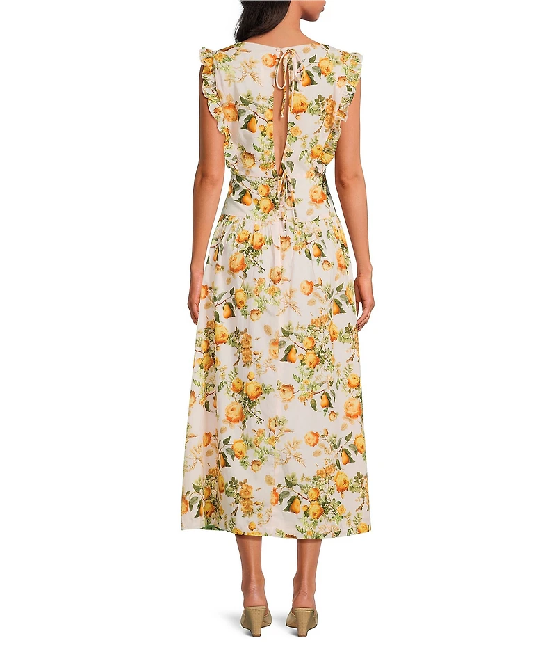 Damaris Bailey Aurora Boat Neck Sleeveless Floral A-Line Midi Dress