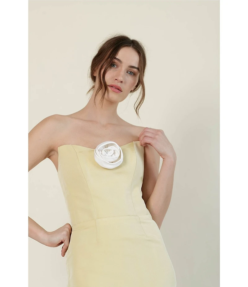 Damaris Bailey Delicias Midi Strapless Dress