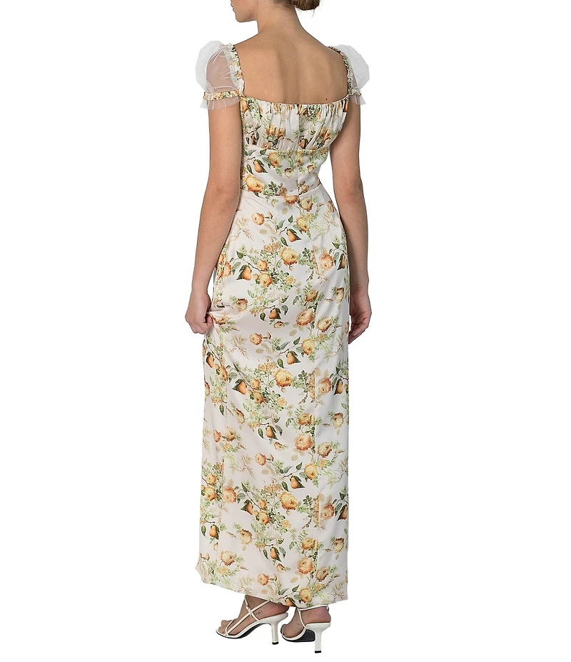 Damaris Bailey Eloise Floral Print Square Neck Mesh Cap Sleeve Maxi Dress