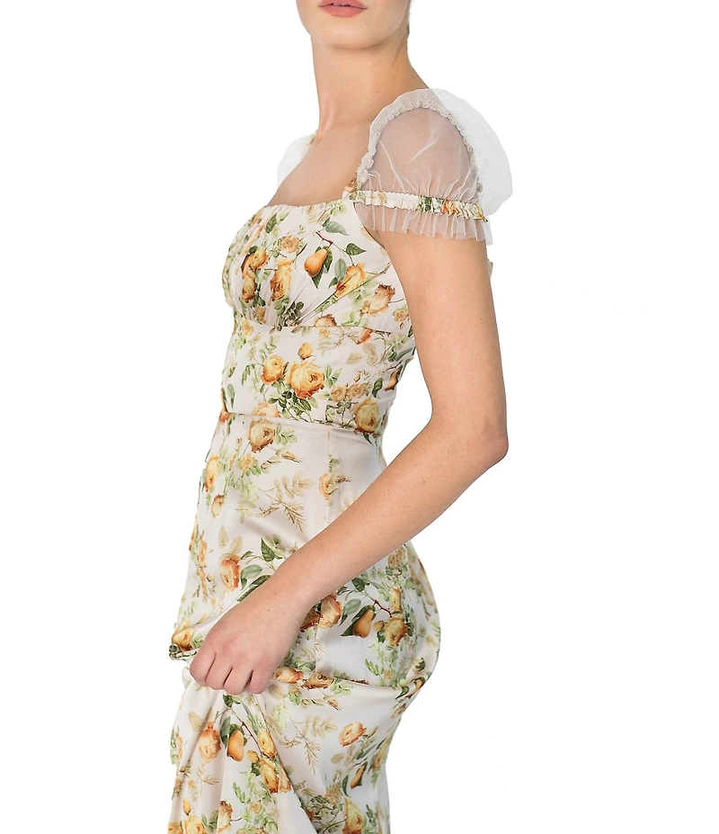 Damaris Bailey Eloise Floral Print Square Neck Mesh Cap Sleeve Maxi Dress