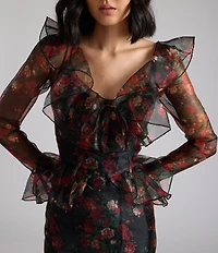 Damaris Bailey Evangeline Organza Floral Scoop Neck Sheer Long Sleeve Gown