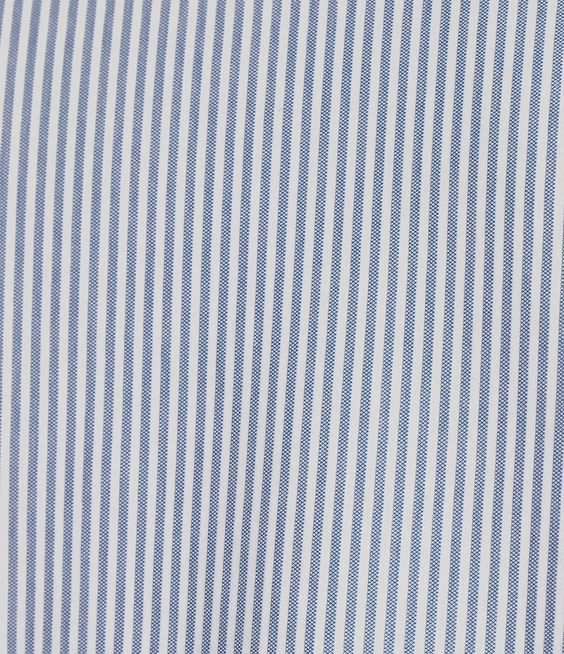 Daniel Cremieux Signature Label Long Sleeve Button down Stripe Luxe Stretch Woven Shirt