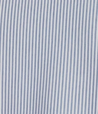 Daniel Cremieux Signature Label Long Sleeve Button down Stripe Luxe Stretch Woven Shirt