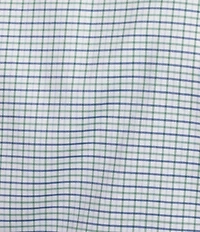 Daniel Cremieux Signature Label Non-Iron Check Long Sleeve Woven Shirt