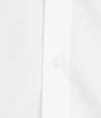 Daniel Cremieux Signature Label Non-Iron Solid Oxford Long Sleeve Woven Shirt
