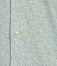 Daniel Cremieux Signature Label Paisley Print Luxe Stretch Long Sleeve Woven Shirt