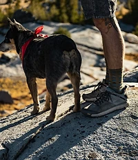Danner Men's Trail 2650 Suede Low Hiking Sneakers