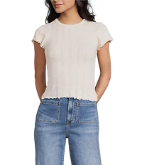 Daze Lily Pointelle Crew Neck Short Sleeve Baby T-Shirt