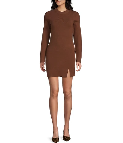 Dee Elly Sweater Long Sleeve Mini Dress