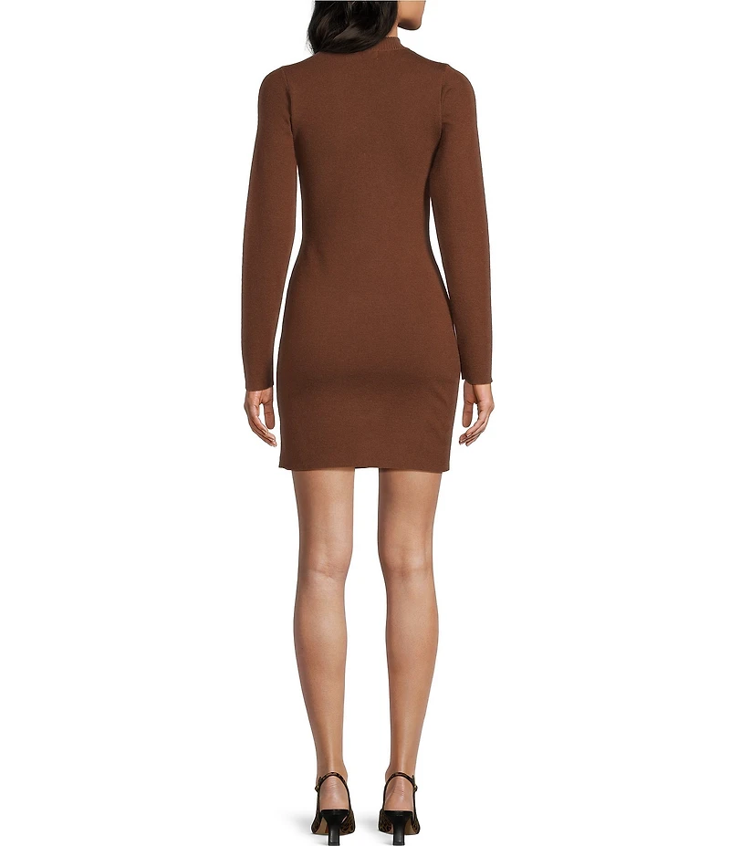 Dee Elly Sweater Long Sleeve Mini Dress