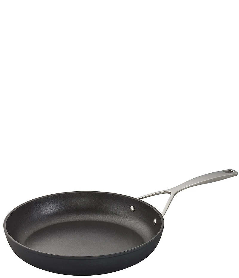 Demeyere AluPro 12#double; Aluminum Nonstick Fry Pan